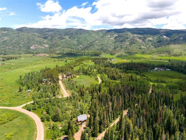 33181 Wenatchi Trl, Oak Creek, CO 80467 - photo 49