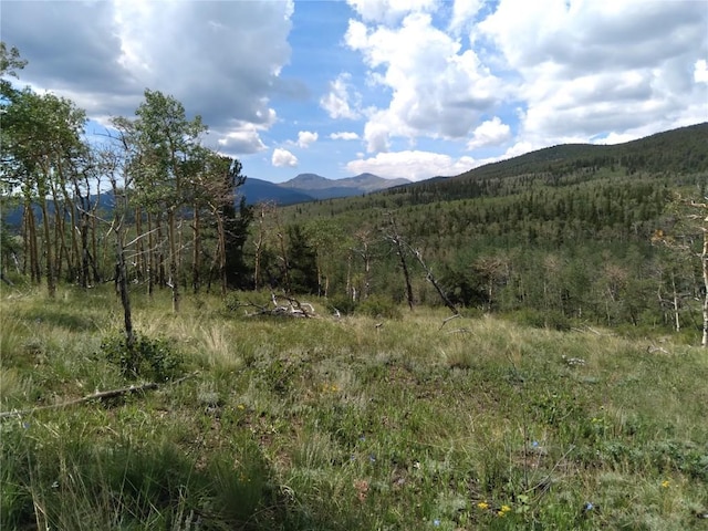 74 Forest Dr, Fairplay, CO 80440