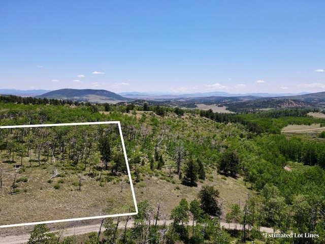 74 Forest Dr, Fairplay, CO 80440