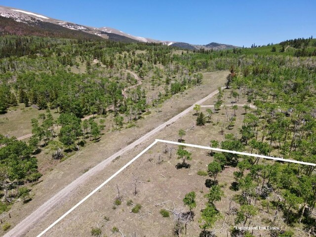 74 Forest Dr, Fairplay, CO 80440