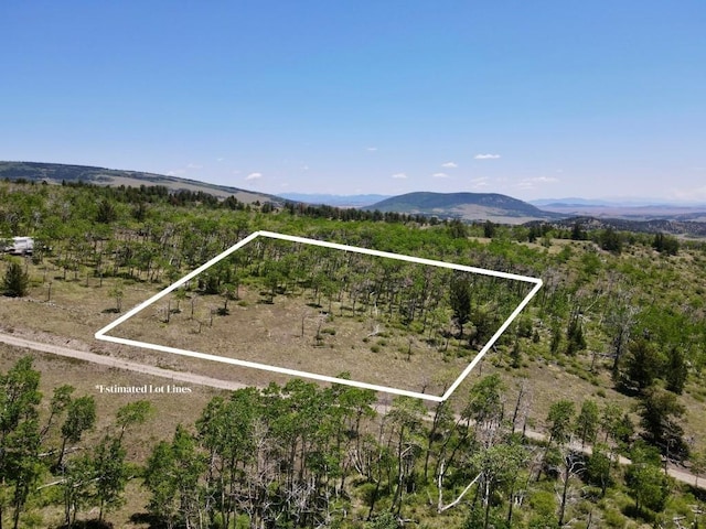 74 Forest Dr, Fairplay, CO 80440