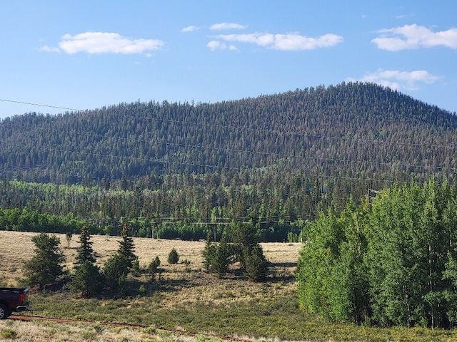 1630 Wampum Ln, Como, CO 80432 - photo 27