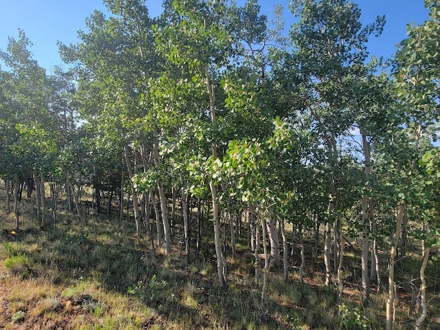 1630 Wampum Ln, Como, CO 80432 - photo 33