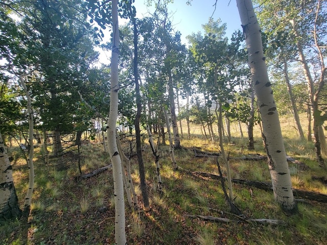 1630 Wampum Ln, Como, CO 80432 - photo 46