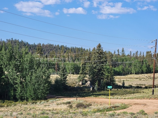 1630 Wampum Ln, Como, CO 80432 - photo 22