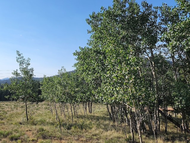1630 Wampum Ln, Como, CO 80432 - photo 29