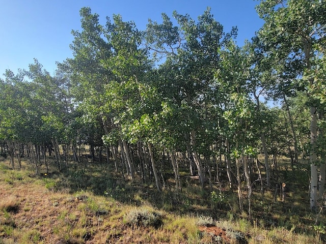 1630 Wampum Ln, Como, CO 80432 - photo 34