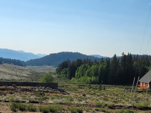 1630 Wampum Ln, Como, CO 80432 - photo 6