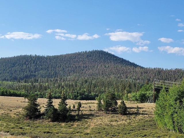 1630 Wampum Ln, Como, CO 80432 - photo 1
