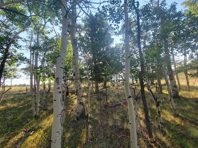 1630 Wampum Ln, Como, CO 80432 - photo 12