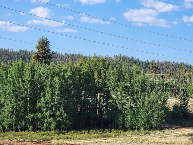 1630 Wampum Ln, Como, CO 80432 - photo 23