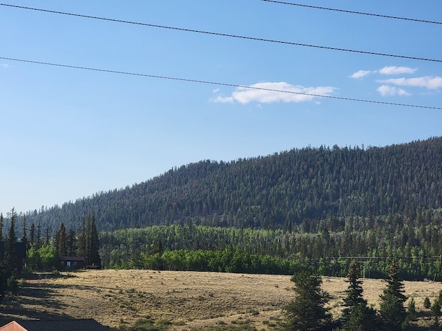 1630 Wampum Ln, Como, CO 80432 - photo 24