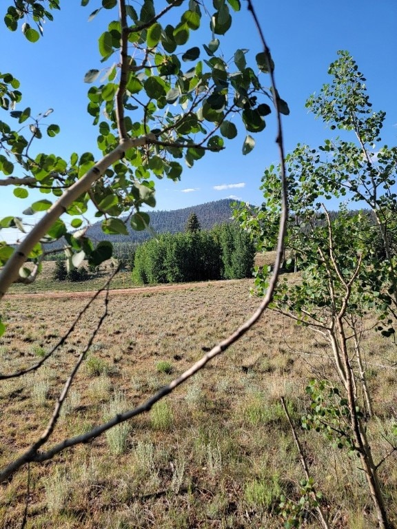 1630 Wampum Ln, Como, CO 80432 - photo 47