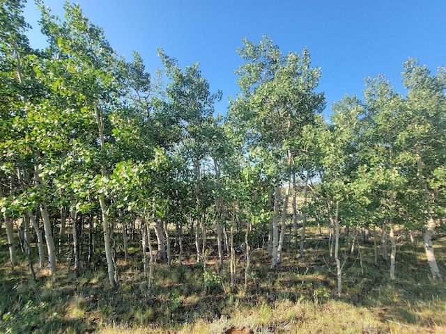 1630 Wampum Ln, Como, CO 80432 - photo 42
