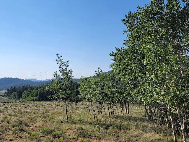 1630 Wampum Ln, Como, CO 80432 - photo 30