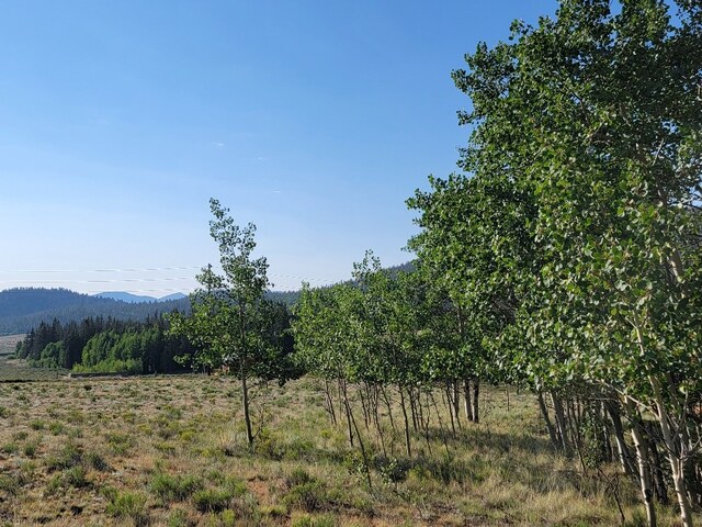 1630 Wampum Ln, Como, CO 80432 - photo 38