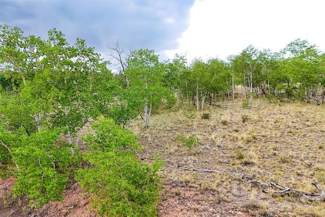 577 Pronghorn Dr, Como, CO 80456