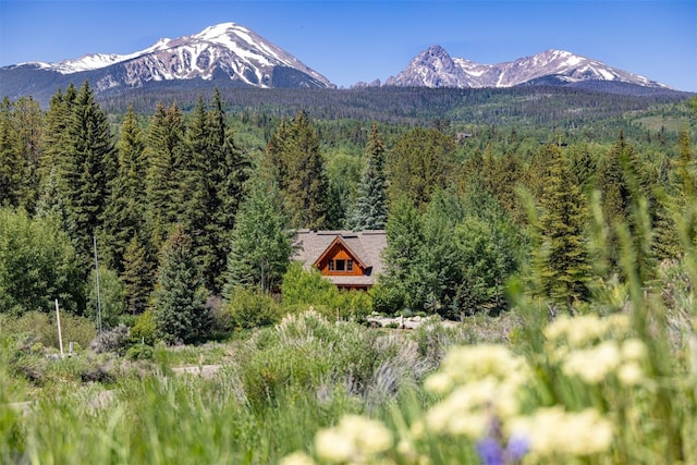 486 Sage Creek Canyon Dr, Silverthorne, CO 80498 - mountain view featuring a forest