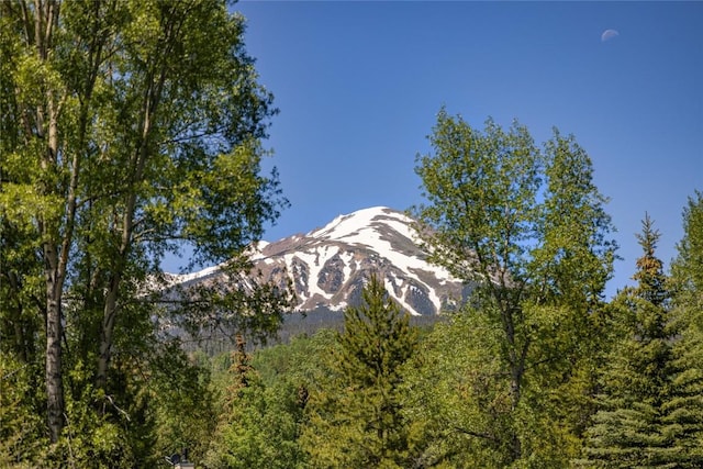 486 Sage Creek Canyon Dr, Silverthorne, CO 80498 - mountain view