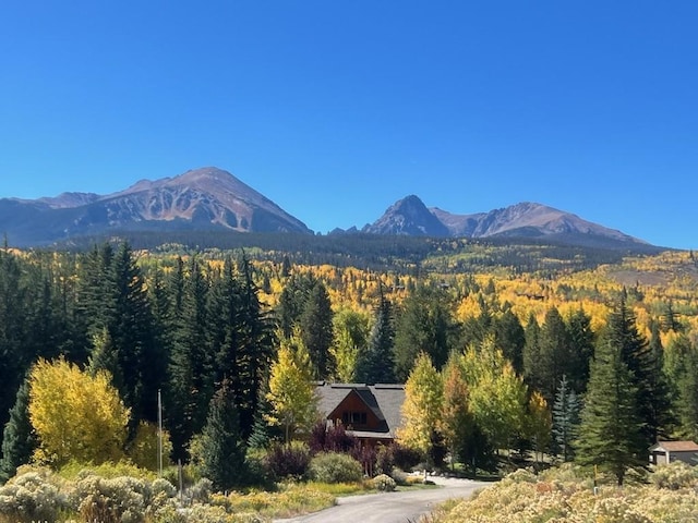 486 Sage Creek Canyon Dr, Silverthorne, CO 80498 - mountain view featuring a forest