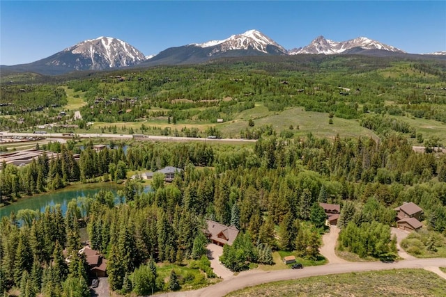 486 Sage Creek Canyon Dr, Silverthorne, CO 80498 - view of mountain backdrop with a forest and a nearby body of water