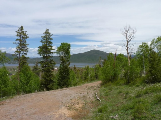 TBD Youngs Creek Way, Oak Creek, CO 80467