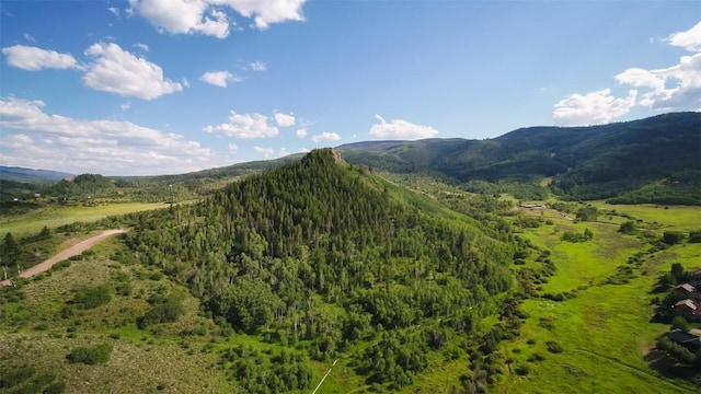 TBD Youngs Creek Way, Oak Creek, CO 80467