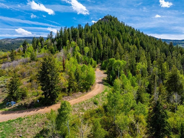 TBD Youngs Creek Way, Oak Creek, CO 80467