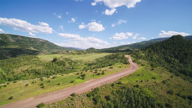 TBD Youngs Creek Way, Oak Creek, CO 80467