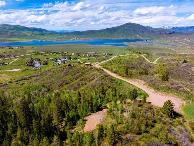 TBD Youngs Creek Way, Oak Creek, CO 80467