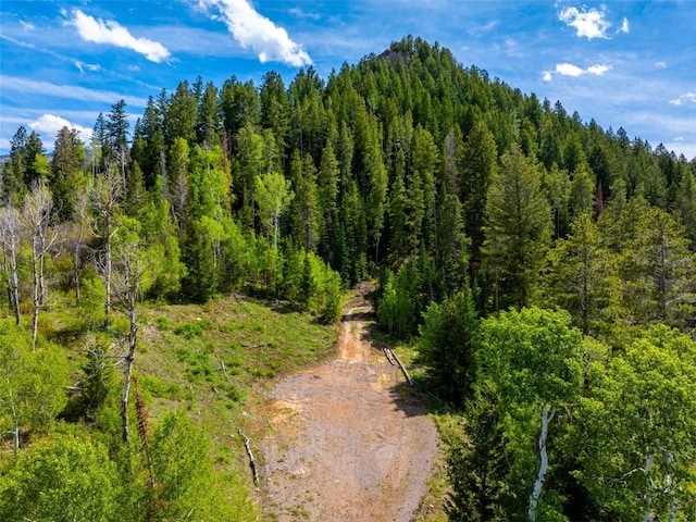 TBD Youngs Creek Way, Oak Creek, CO 80467