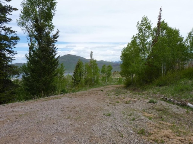 TBD Youngs Creek Way, Oak Creek, CO 80467