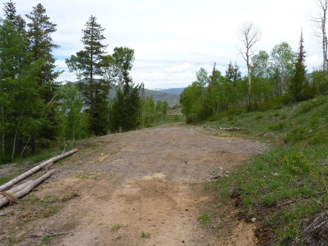 TBD Youngs Creek Way, Oak Creek, CO 80467