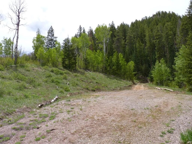 TBD Youngs Creek Way, Oak Creek, CO 80467