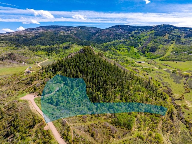 TBD Youngs Creek Way, Oak Creek, CO 80467