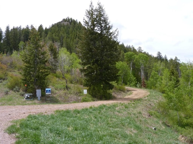 TBD Youngs Creek Way, Oak Creek, CO 80467