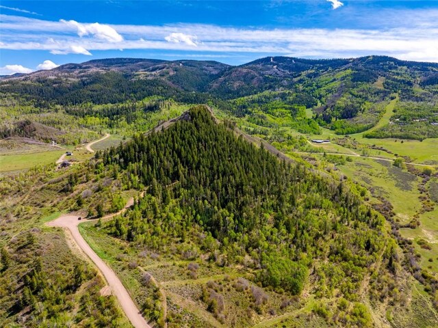 TBD Youngs Creek Way, Oak Creek, CO 80467