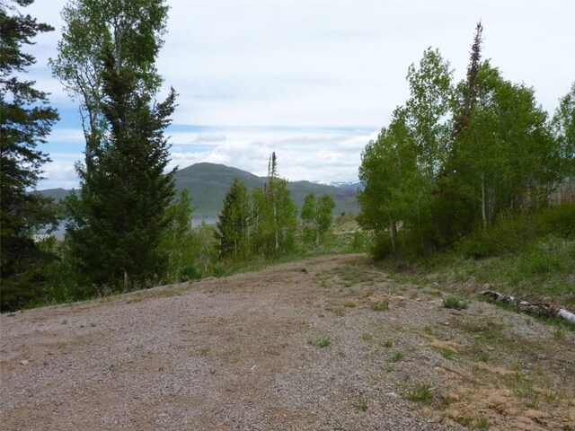 TBD Youngs Creek Way, Oak Creek, CO 80467