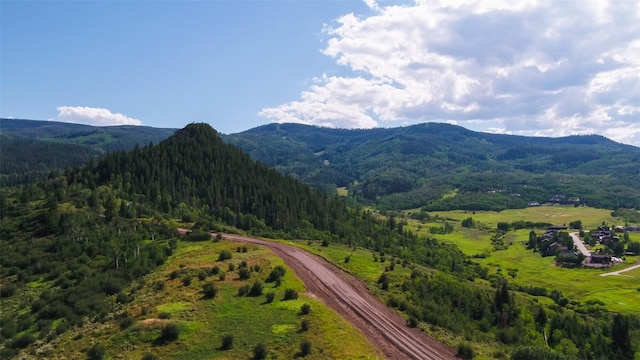 TBD Youngs Creek Way, Oak Creek, CO 80467