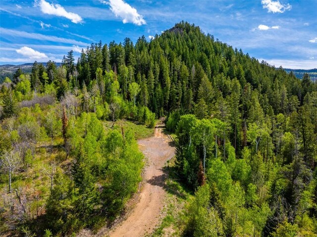 TBD Youngs Creek Way, Oak Creek, CO 80467