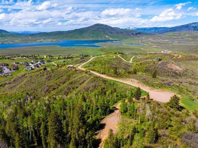 TBD Youngs Creek Way, Oak Creek, CO 80467