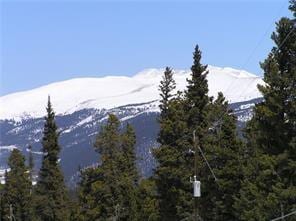 452 Bobcat Ln, Fairplay, CO 80440