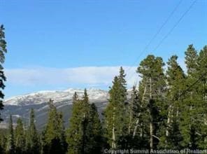 452 Bobcat Ln, Fairplay, CO 80440