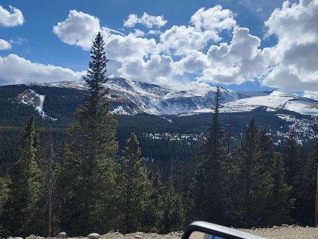 452 Bobcat Ln, Fairplay, CO 80440