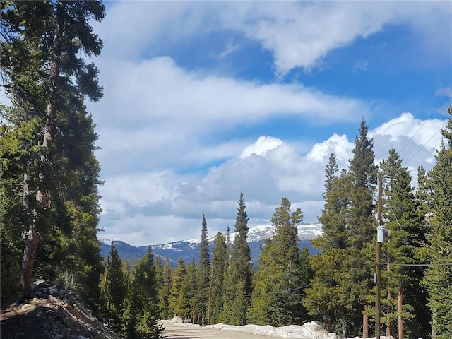 452 Bobcat Ln, Fairplay, CO 80440