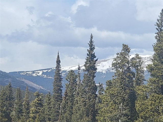 452 Bobcat Ln, Fairplay, CO 80440