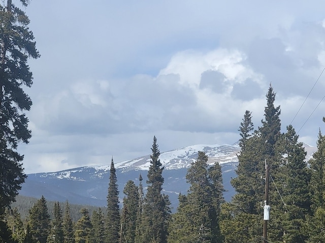 452 Bobcat Ln, Fairplay, CO 80440