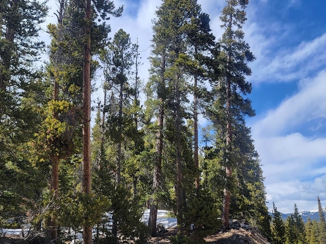 452 Bobcat Ln, Fairplay, CO 80440