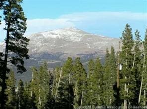 452 Bobcat Ln, Fairplay, CO 80440