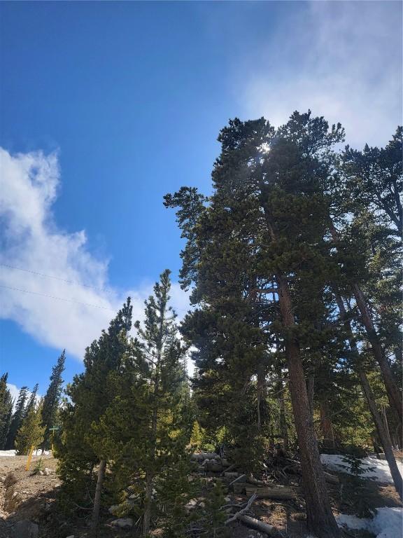 452 Bobcat Ln, Fairplay, CO 80440
